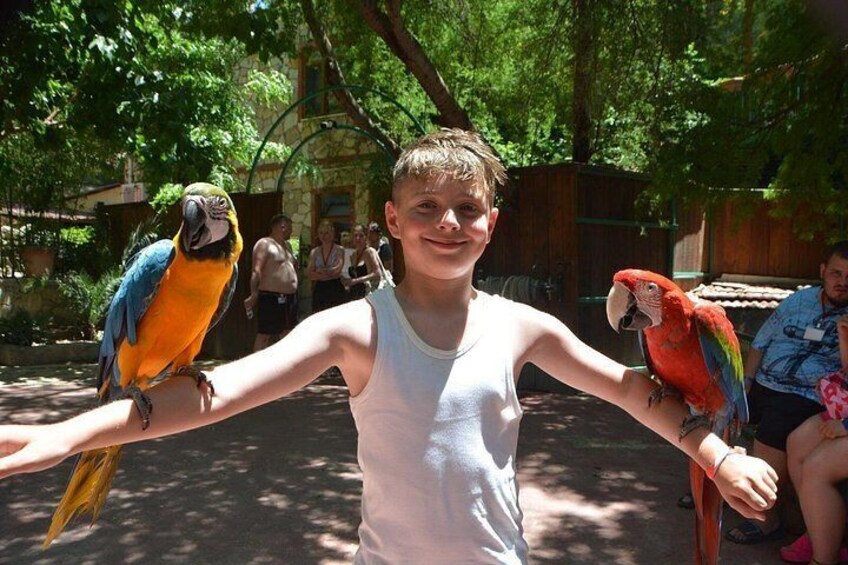 Lion Safari and Green Canyon Splash Feast with Lunch 2