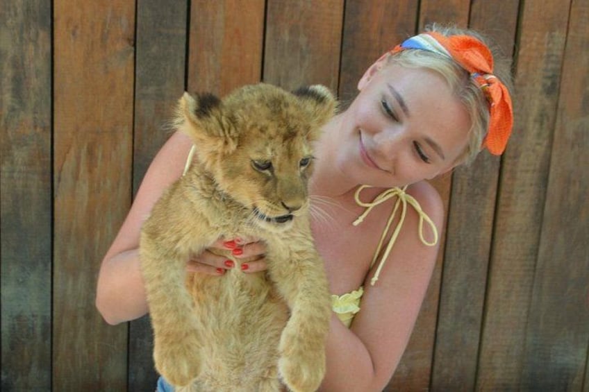 Lion Safari and Green Canyon Splash Feast with Lunch 5