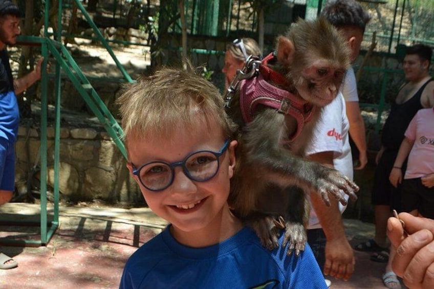 Lion Safari and Green Canyon Splash Feast with Lunch 2
