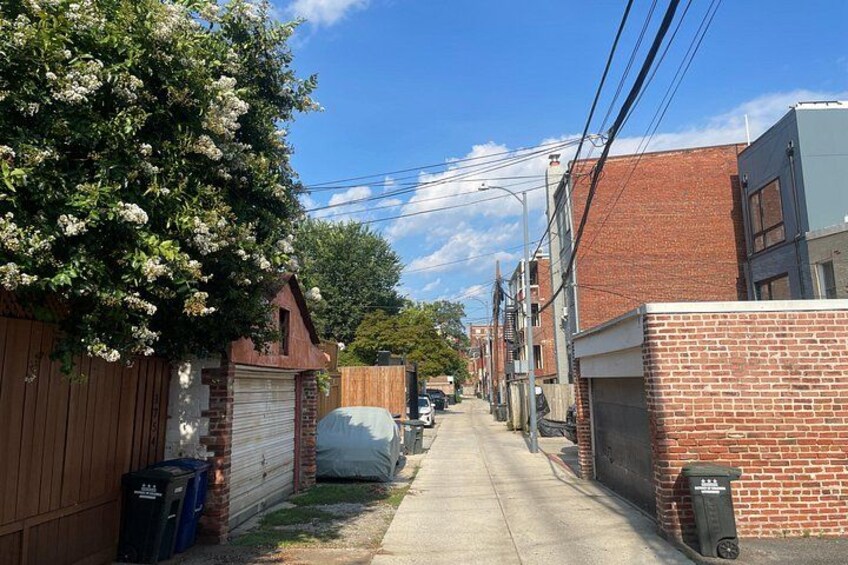 Local Neighborhood Washington DC Food Tour by DrinkEatWalk Tours 3
