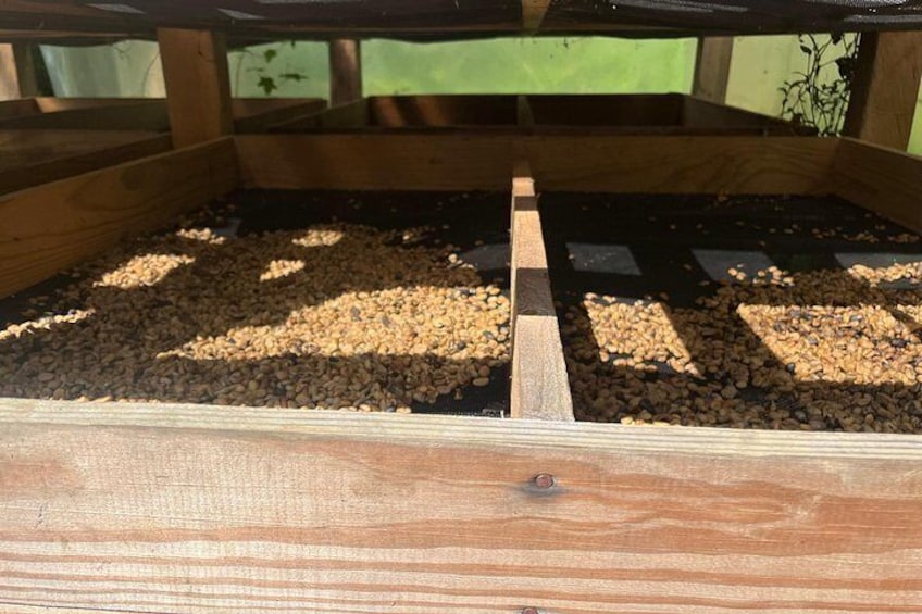 A wooden structure with a gravel floor, possibly a garden bed or a bird feeder. 2