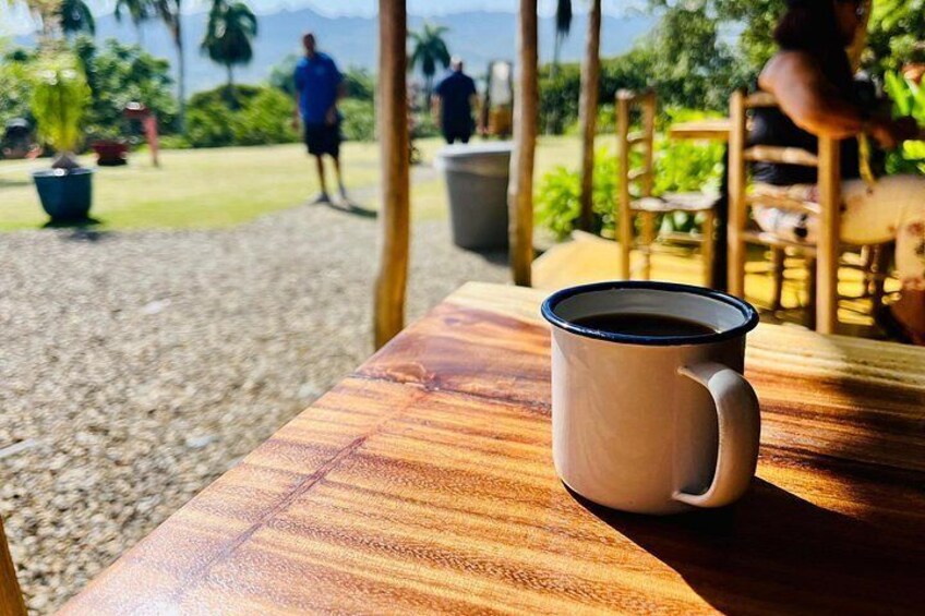 A wooden table with a coffee mug, outdoor seating, and a gravel path with greenery and palm trees in the background. 4