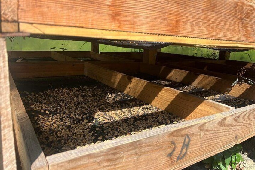 A wooden structure with multiple compartments filled with gravel. 3