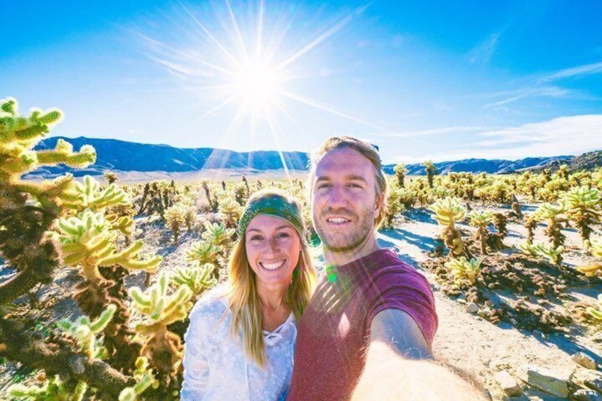 A desert landscape with cacti and a clear sky. 1