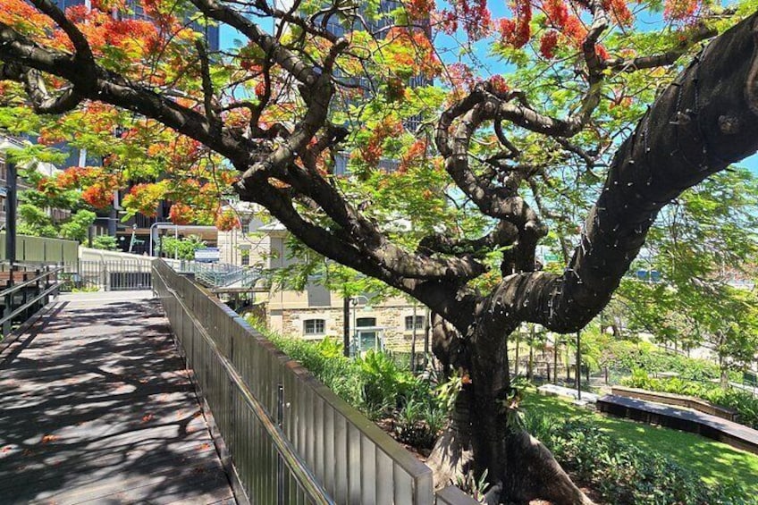 A tree-lined pathway with a metal fence, a building in the background, and a clear sky. 5