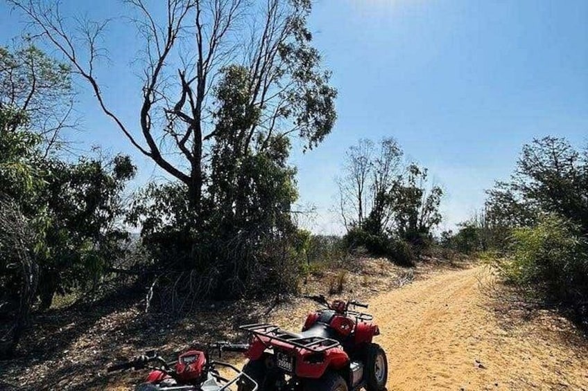 A dirt road with sparse vegetation and a red quad bike parked on the side. 5