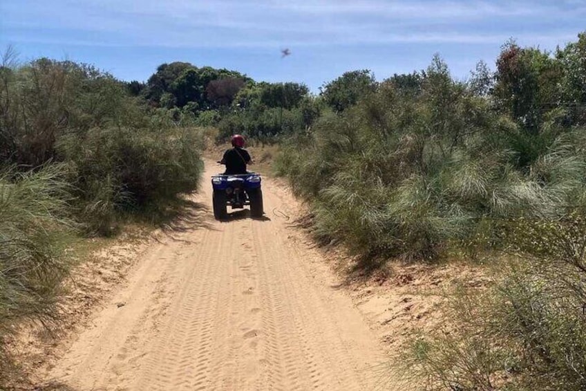 Hammamet : Quad adventure through the hills 4