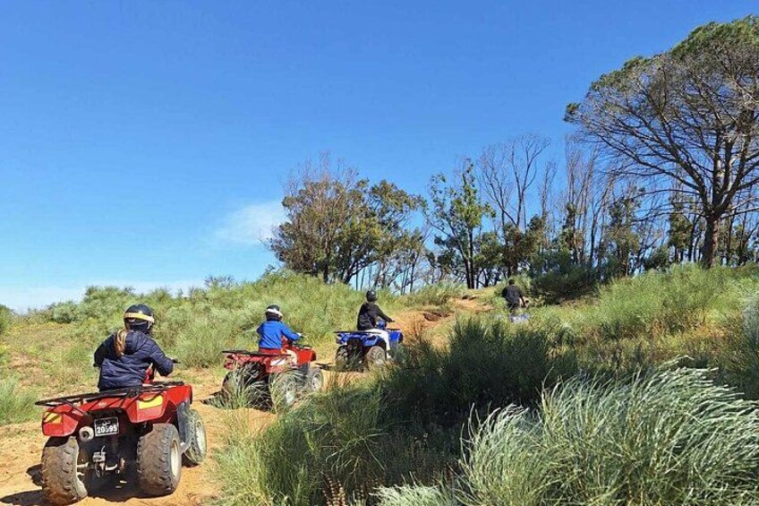 Three people on quad bikes on a dirt path surrounded by grass and trees. 1