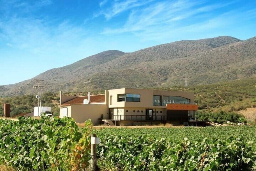 Una casa moderna con un viñedo al frente y montañas al fondo. 1