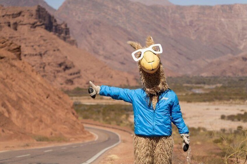 Tour of the Cafayate and Cachi Valleys in 1 Day 2