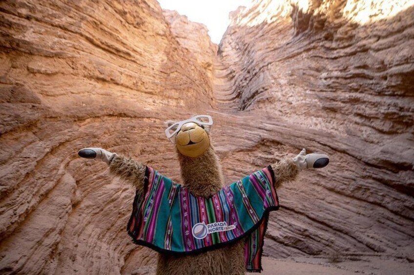Tour of the Cafayate and Cachi Valleys in 1 Day 2