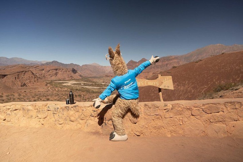 A person in a blue jacket and gloves, seemingly in motion, with a desert landscape and mountains in the background. 4