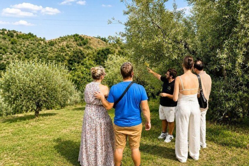 A group of people walking through a grassy area with trees and hills in the background. 1
