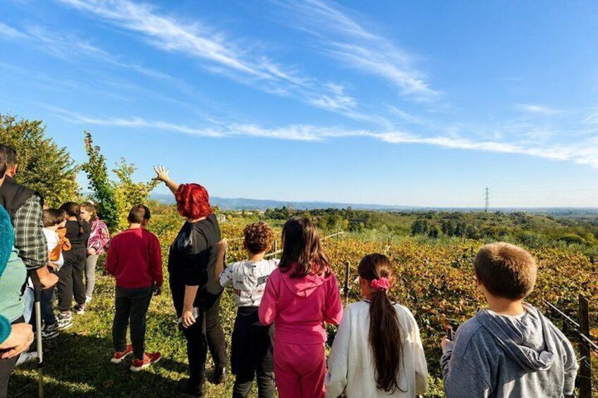 A group of people standing on a grassy hill overlooking a vineyard. 2