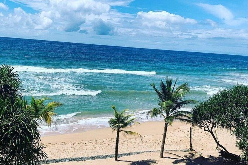 A beach with palm trees and ocean waves. 1