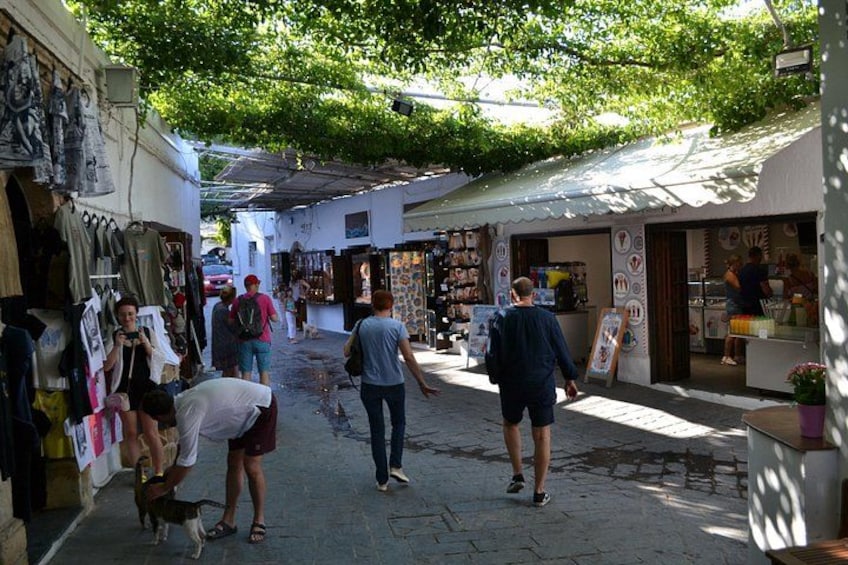 A narrow street with shops on either side, pedestrians walking, and a dog. 3