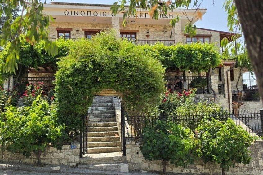 Taste of Paphos Hills: Boutique Wine Tour & Scenic Escape 2