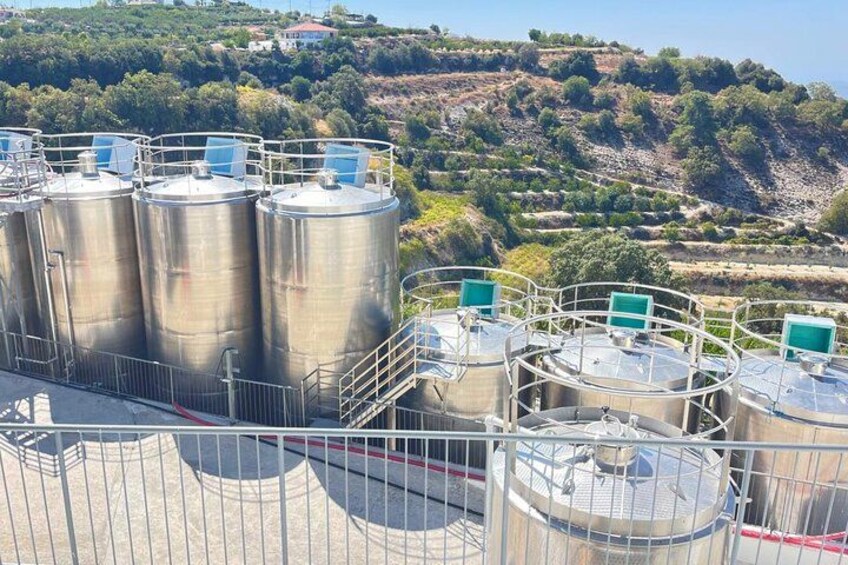 Where altitude meets attitude — Kolios Winery. 4