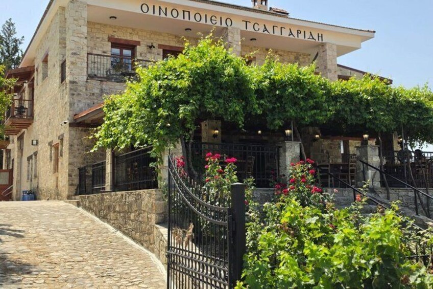 Taste of Paphos Hills: Boutique Wine Tour & Scenic Escape 3