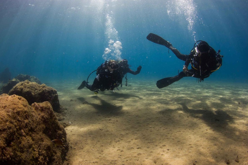 Picture 5 for Activity Bautismo Buceo para principiantes 1 inmersion| Vídeos Gratis 4