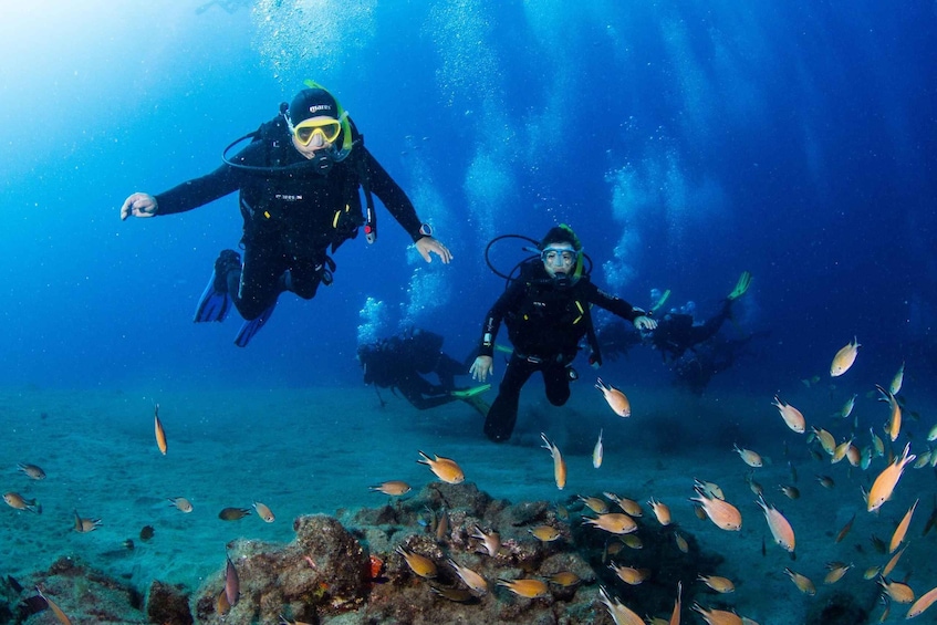 Bautismo Buceo para principiantes 1 inmersion| Vídeos Gratis 2