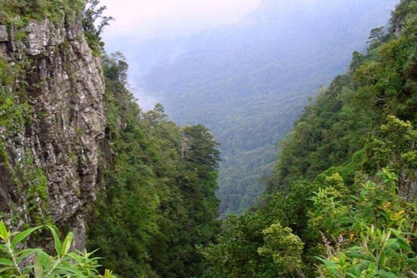 A mountainous landscape with dense green vegetation and a rocky cliff. 4