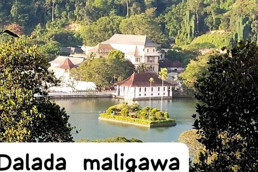 Ambuluwawa Tower and Kandy City Tuk Tuk Tour with Epic views 5