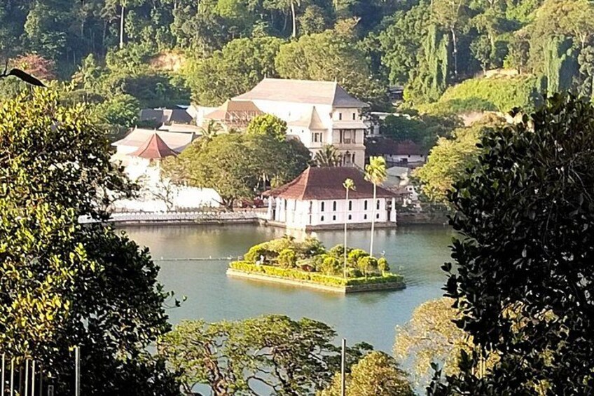 A lake with a small island, surrounded by trees and buildings. 3