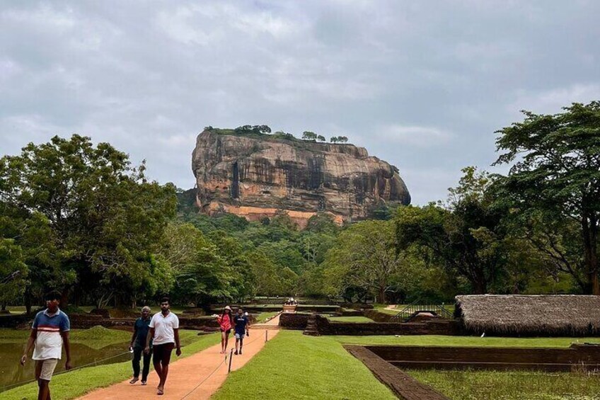 A pathway leading to a large rock formation surrounded by trees. 1