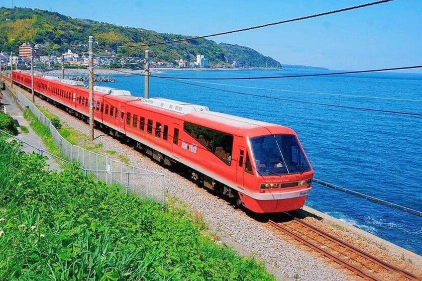FromTokyo: Izu Scenic Oceanview Train, Volcano, Coast Day Trip 1