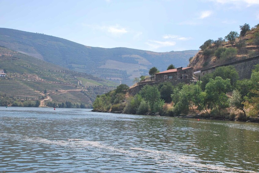 Picture 3 for Activity Pinhão: 2-Hour Rabelo Boat Tour with Audio Guide 2