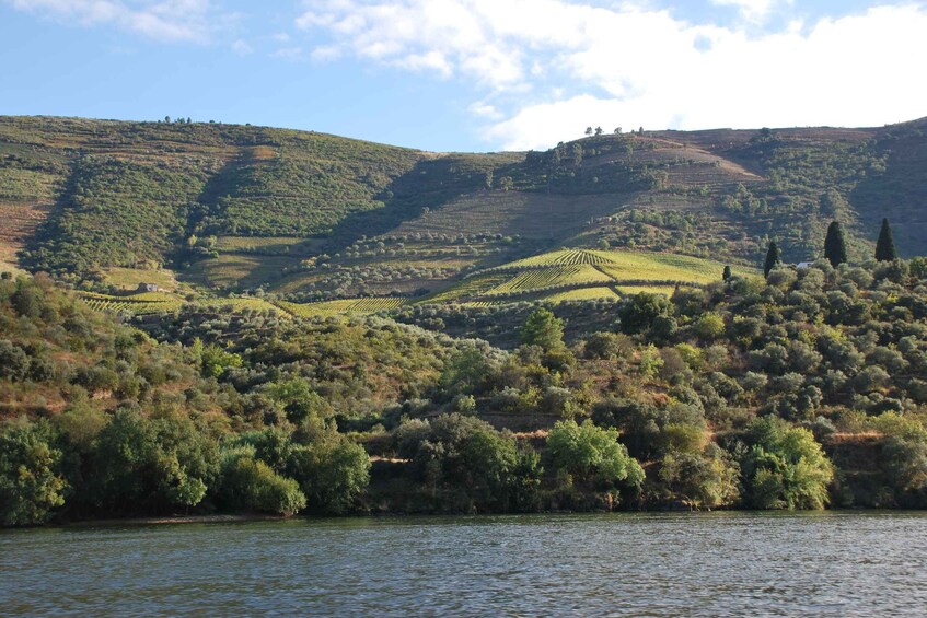 Picture 8 for Activity Pinhão: 2-Hour Rabelo Boat Tour with Audio Guide 3