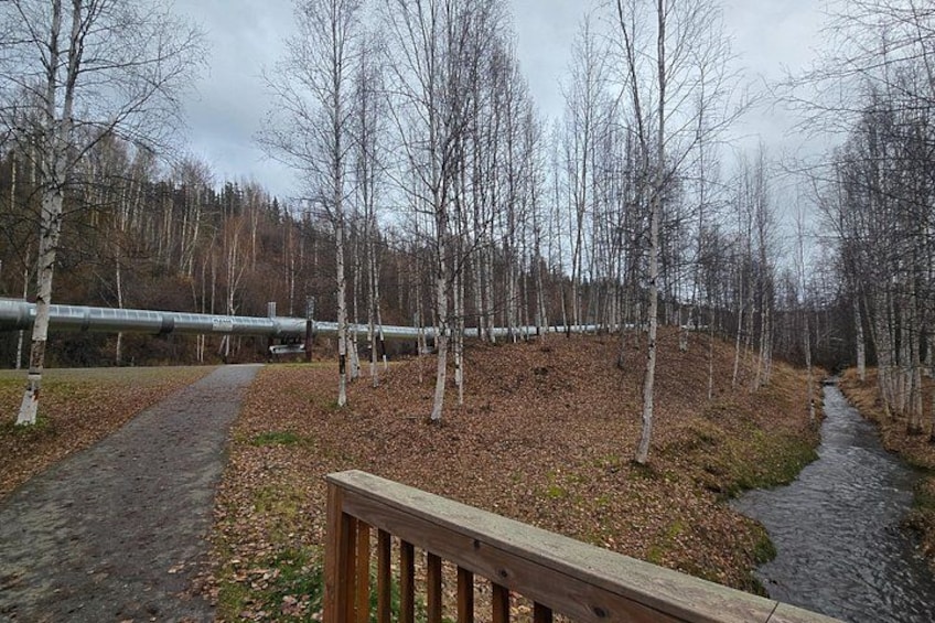 Beautiful and historic spot the AK pipeline. Great chance to spot a moose eagles or some amazing big gold trucks. 1