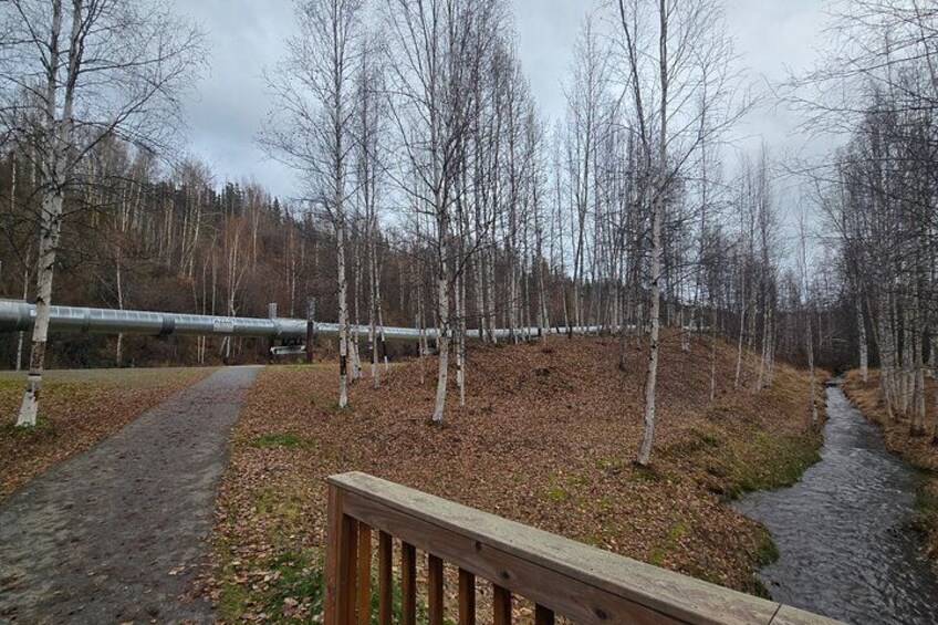 Zona boscosa con un sendero pavimentado, una cerca de madera y un arroyo. 1