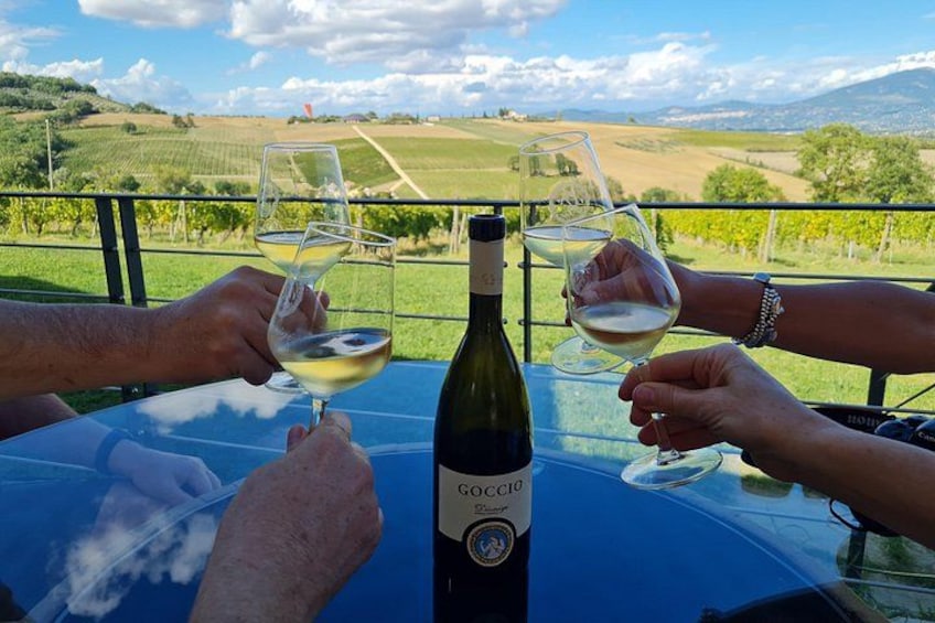 Montefalco Wine Tour with Farm-to-Table Lunch (2 Wineries) 1