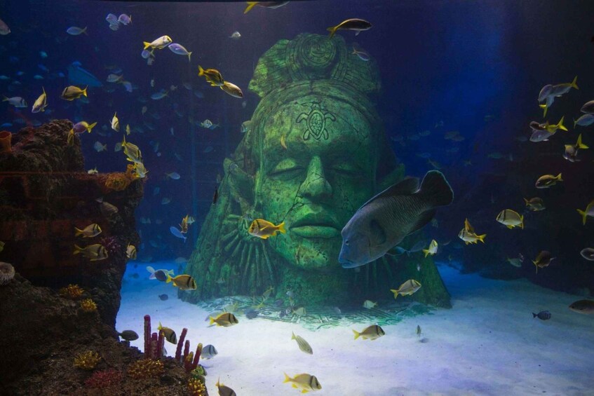 An underwater scene with a large statue surrounded by various fish. 2