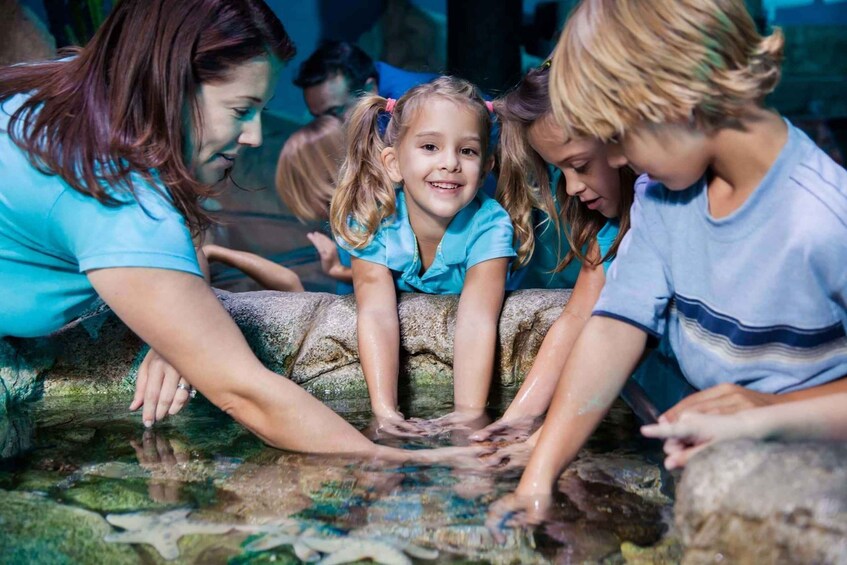 A group of people, including children, interacting with a large, colorful fish tank. 5