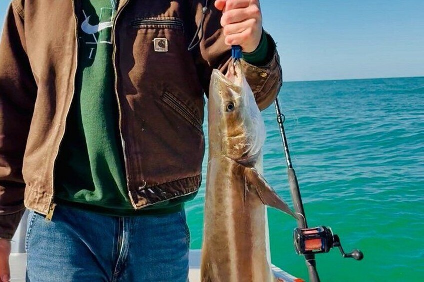Off Shore Fishing Charters in Clearwater Beach Florida 3