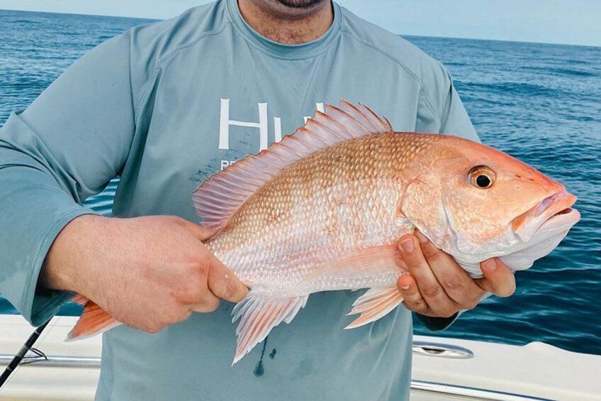 Off shore Fishing - Clearwater, FL 4