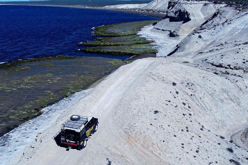 3 hour 4x4 tour around Puerto Madryn 1