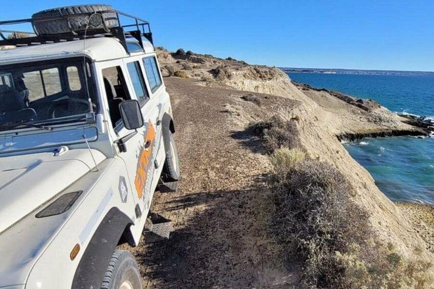 3 hour 4x4 tour around Puerto Madryn 2