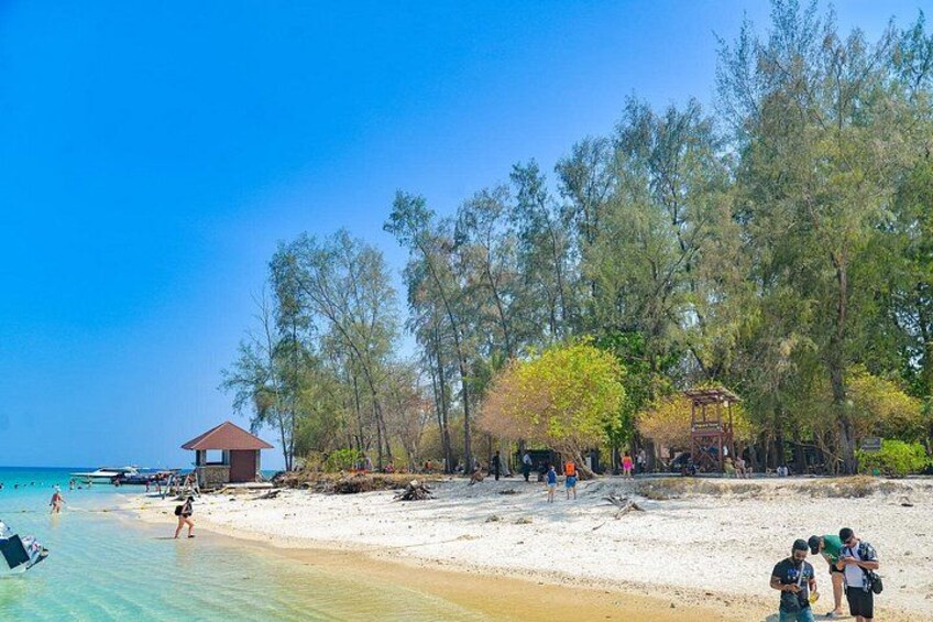 A beach with clear turquoise water, a sandy shore, and a few people walking. There are trees and a small structure on the beach. 3