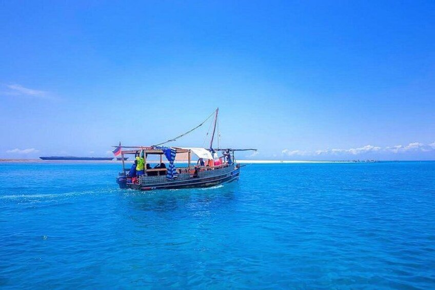 Full Day Dolphins Watching with Snorkeling in Wasini 1