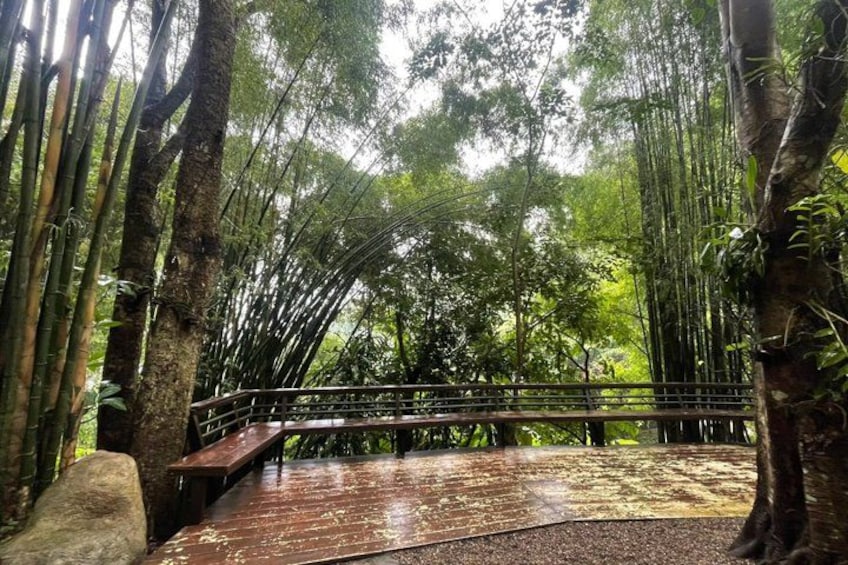Doi Suthep Temple Tour by Local Red Car 3 Hour Adventure 3