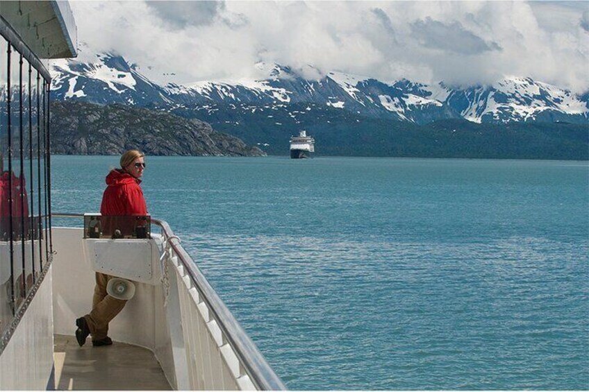Glacier Bay Day Tour: Explore Tidewater Glaciers and Wildlife 3