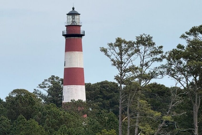 A tall lighthouse with red and white stripes, surrounded by dense green foliage. 4
