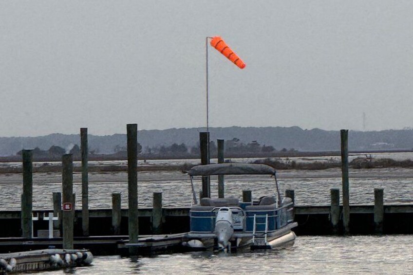 Wildlife Boat Tour with Wild Ponies and Dolphins in Chincoteague 2