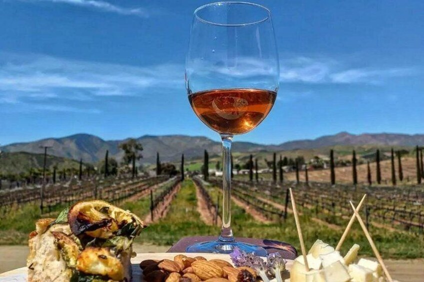 Un bicchiere di vino rosso, formaggio e noci su un tavolo, con un vigneto sullo sfondo. 4