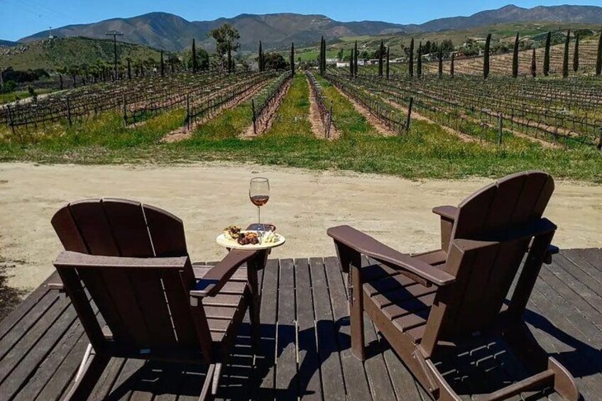 Valle Guadalupe Wine Tour from the Tijuana Border 1