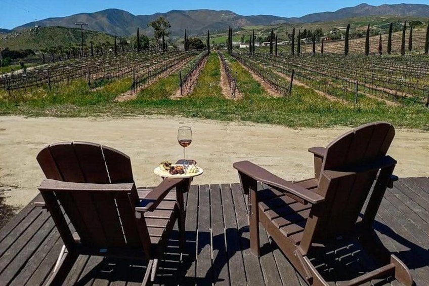 Due sedie di legno su un patio con vista su un vigneto e filari di viti. 1